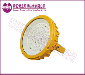 LED防爆灯