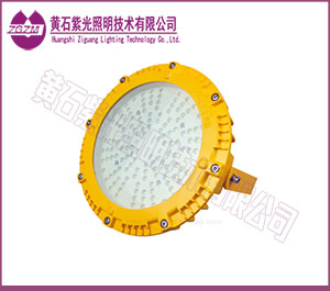 LED防爆灯