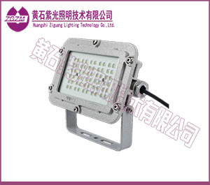 GF9018LED泛光灯