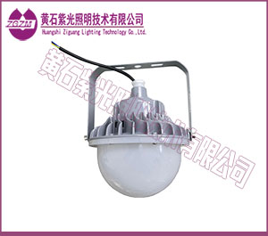 GF9020LED泛光灯