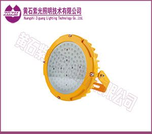 LED防爆灯