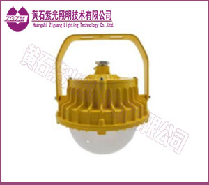LED防爆灯