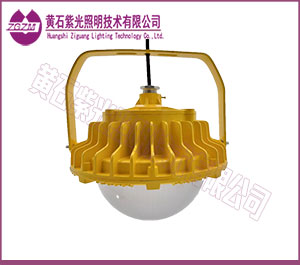 LED防爆灯