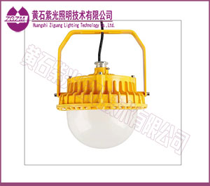 LED防爆灯