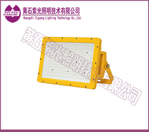 LED防爆灯60W