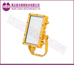 LED防爆灯