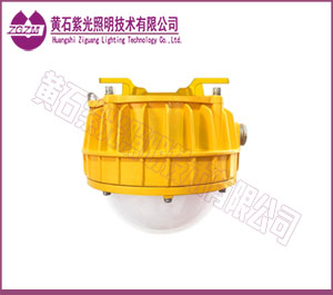 LED防爆灯吸顶式