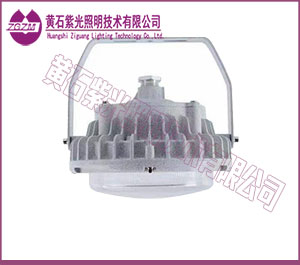 GF9035系列LED泛光灯凸罩