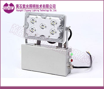 应急壁灯,配电房应急壁灯,NFE9178 应急壁灯,配电房应急壁灯,NFE9178
