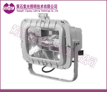 GF9153图片,GF9153泛光灯 GF9153图片,GF9153泛光灯