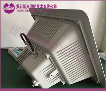GF9155图片,GF9155棚顶灯 GF9155图片,GF9155棚顶灯