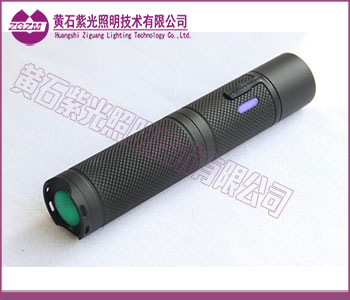 FD-FBP240/10,紫光FD-FBP240/10消防员照明灯具 FD-FBP240/10,紫光FD-FBP240/10消防员照明灯具