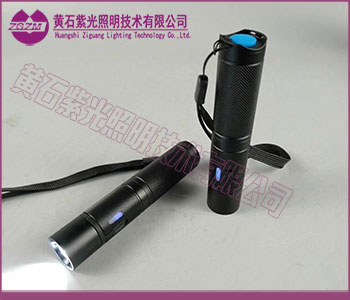 FD-FBP240/10消防员照明灯具实物图片