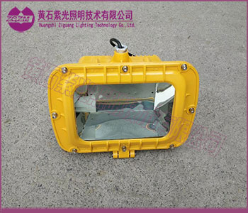 GB8151灯具,紫光照明GB8151防爆泛光灯100W