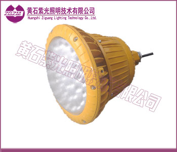 LED防爆灯,40W/50W/60W/70W/80WLED防爆灯