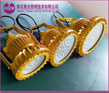 LED防爆灯实物图片,防爆免维护LED照明灯图片 LED防爆灯实物图片,防爆免维护LED照明灯图片