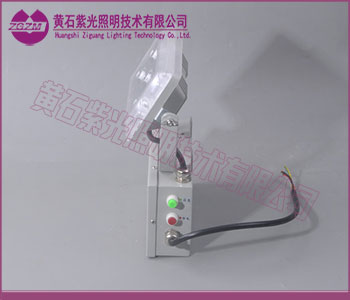 ZY8810LED应急照明灯图片,ZY8810生产厂家 ZY8810LED应急照明灯图片,ZY8810生产厂家