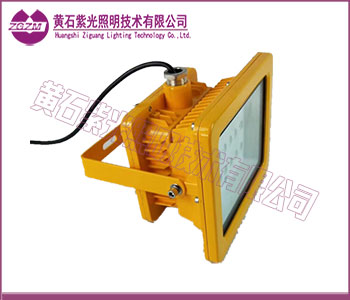 30W/40W/50W/60W/70W/80W防爆灯-黄石紫光照明技术有限公司